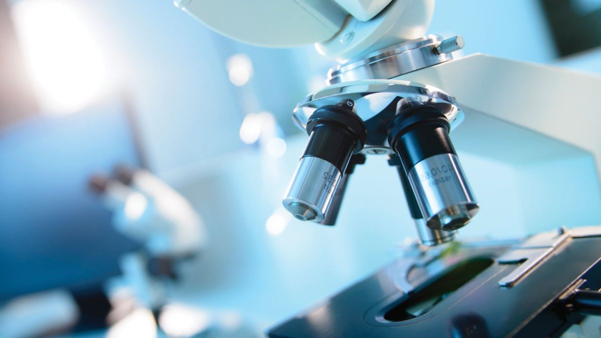 Микроскопия экспертиза