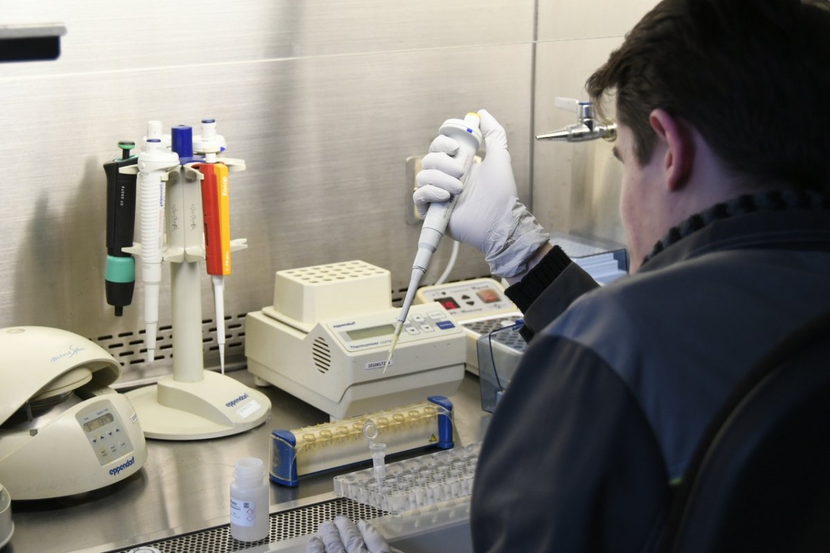 Судебно-медицинская экспертиза криминалистика