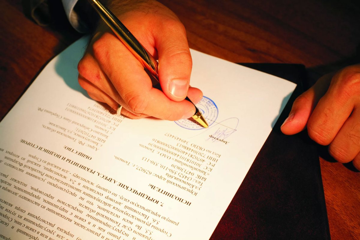 Заключение эксперта картинки