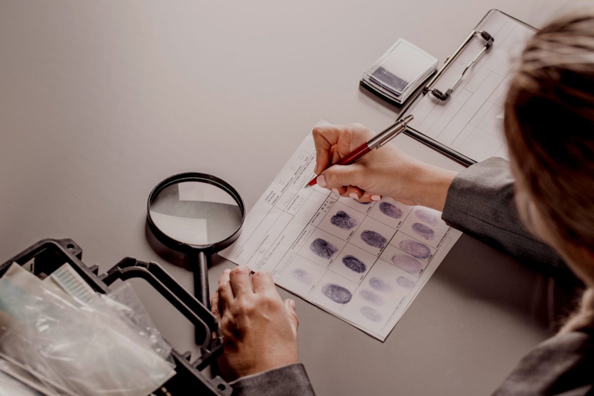 Экспертная деятельность