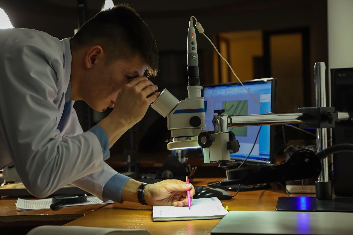 Технико криминалистическая судебная экспертиза