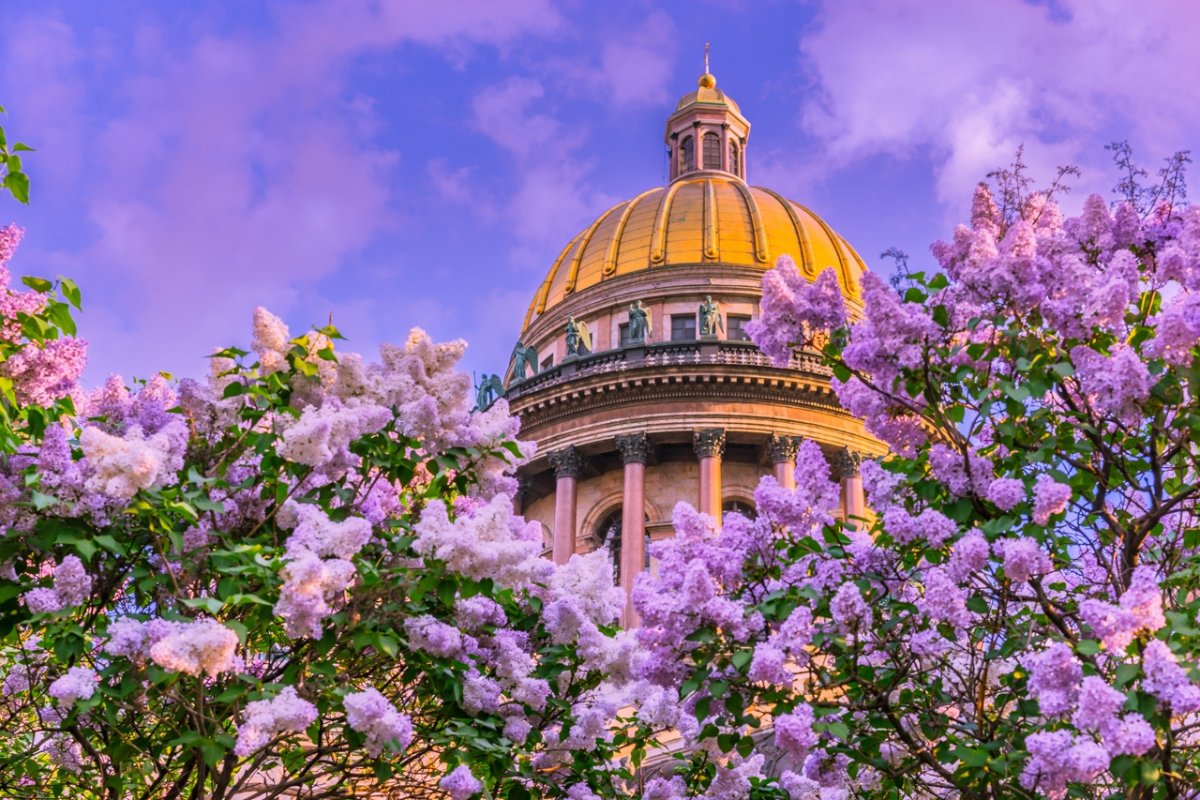 Исаакиевский собор сирень