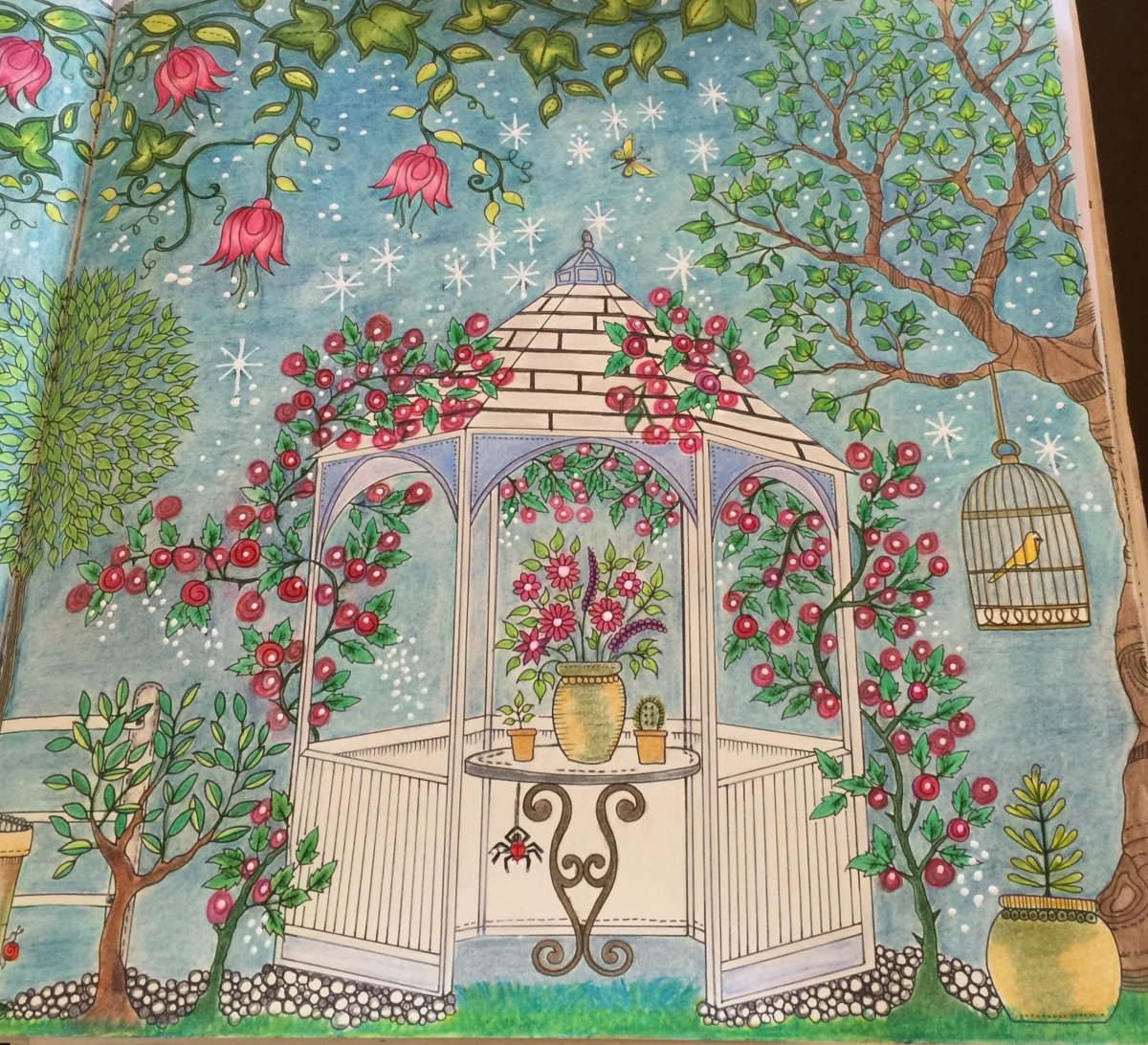 Джоанна Басфорд жуки