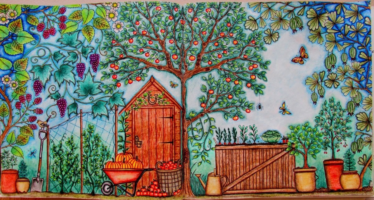 Таинственный сад рисунок