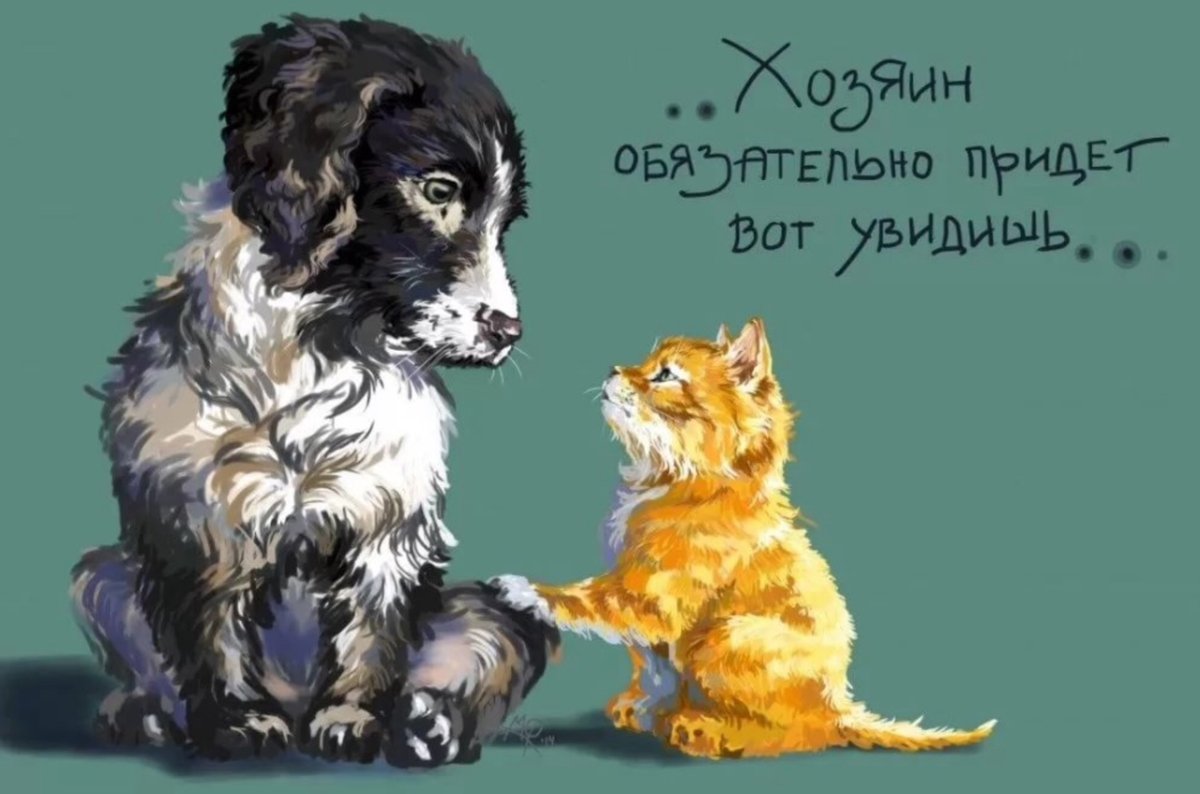 Бездомные животные вектор