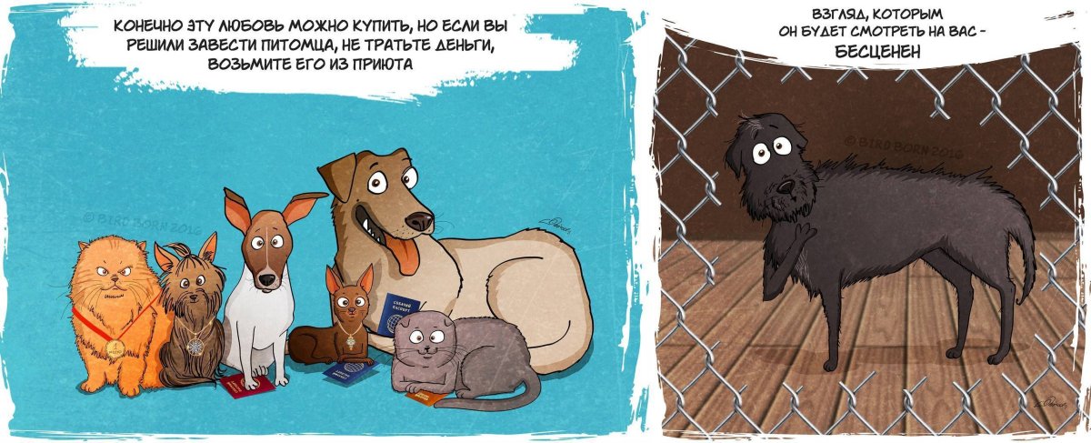 Опасности от бродячих животных