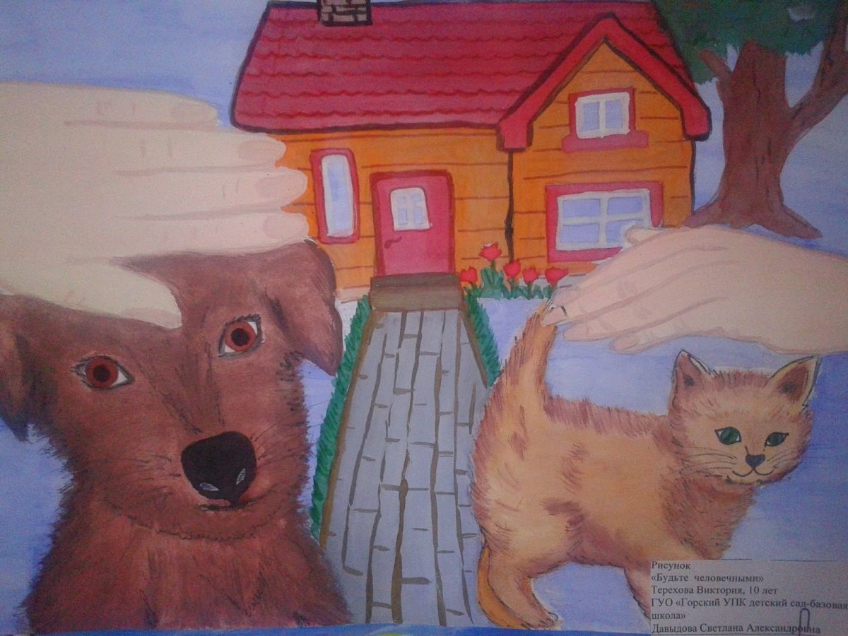 Логотип приюта для животных