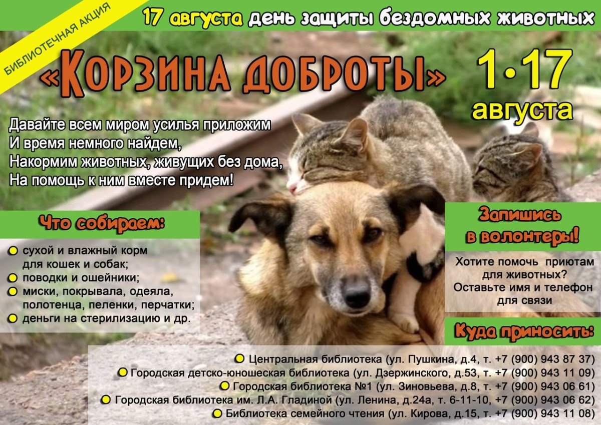 Помоги приюту для животных