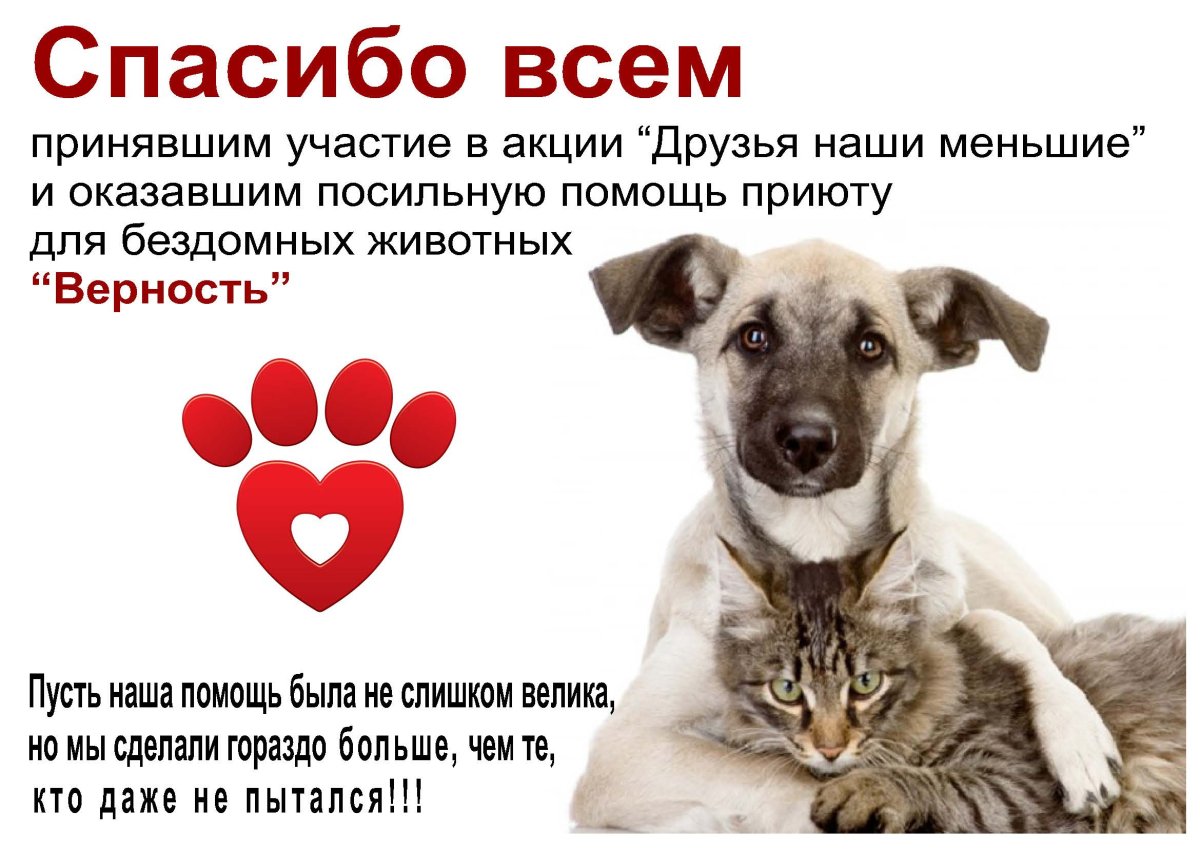 Приютите бездомных животных