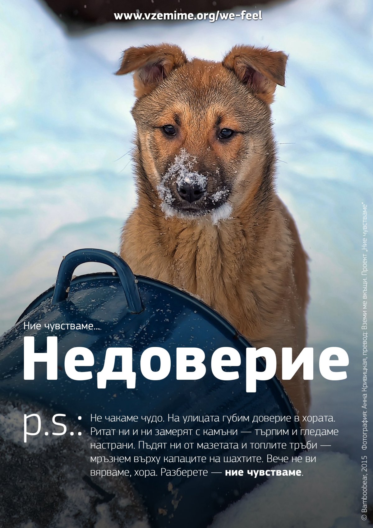 Бездомных животных