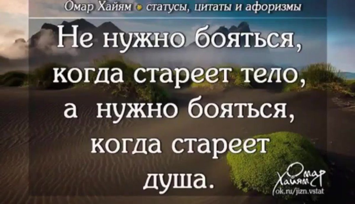Афоризмы и цитаты