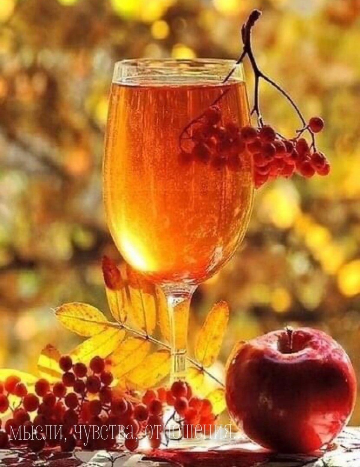 Доброе осеннее утро