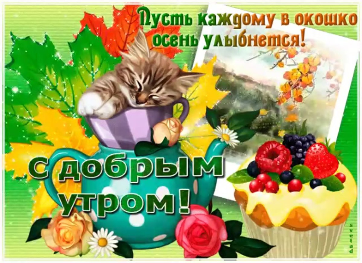 Доброе пятничное утро осени