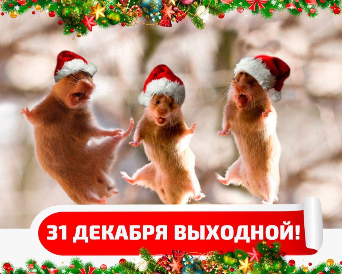 Смешные статусы про новый год