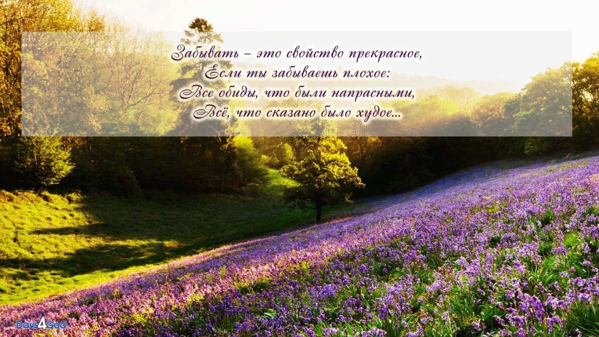 Цветы со стихами из Библии