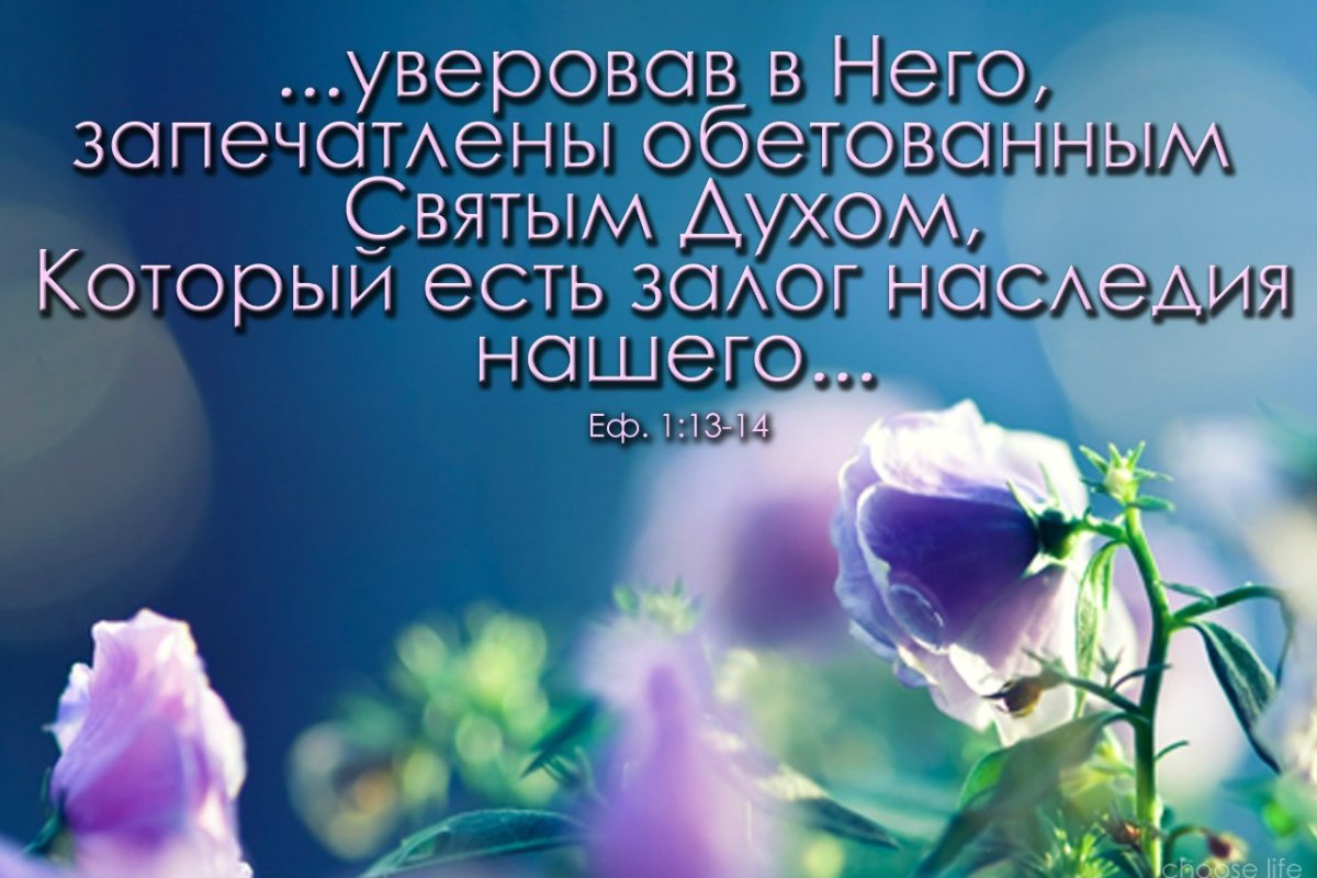 Христианские тексты из Библии