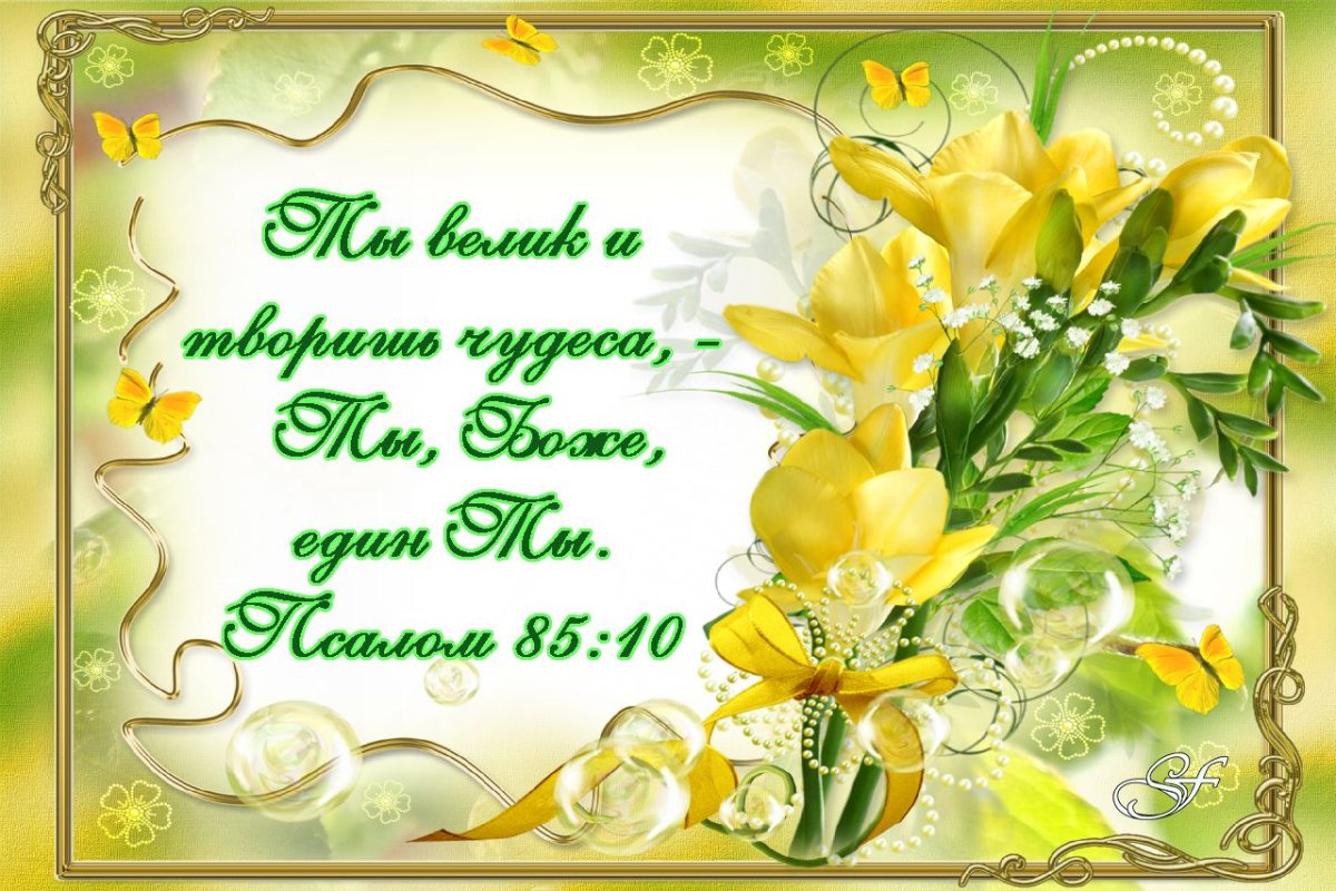 Новоиите земле помилованная