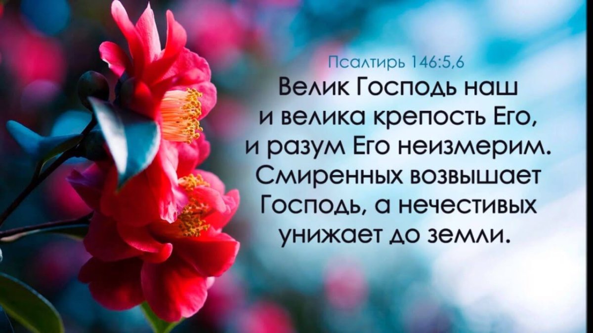 Fresh Cards открытки