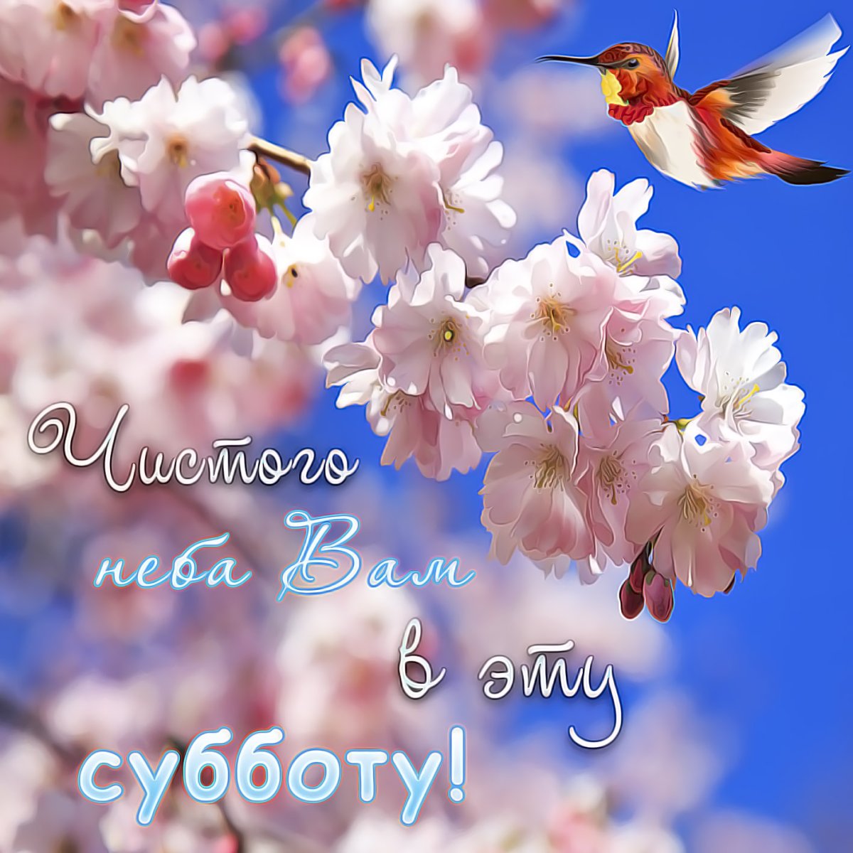 Чудесного весеннего утра и прекрасного настроения