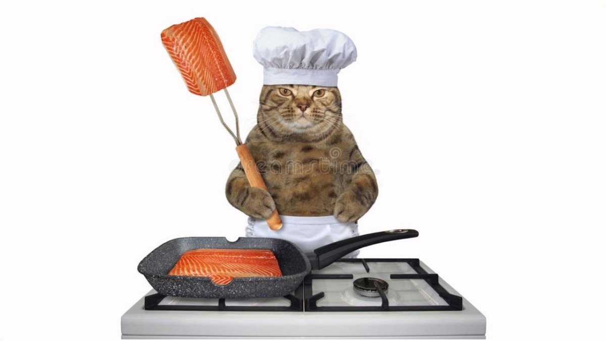 Котик на кухне