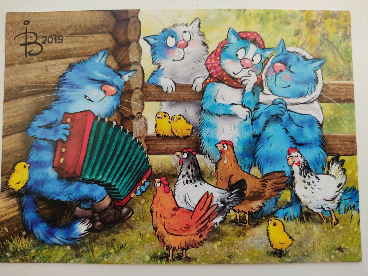 Картины Ирины Зенюк коты