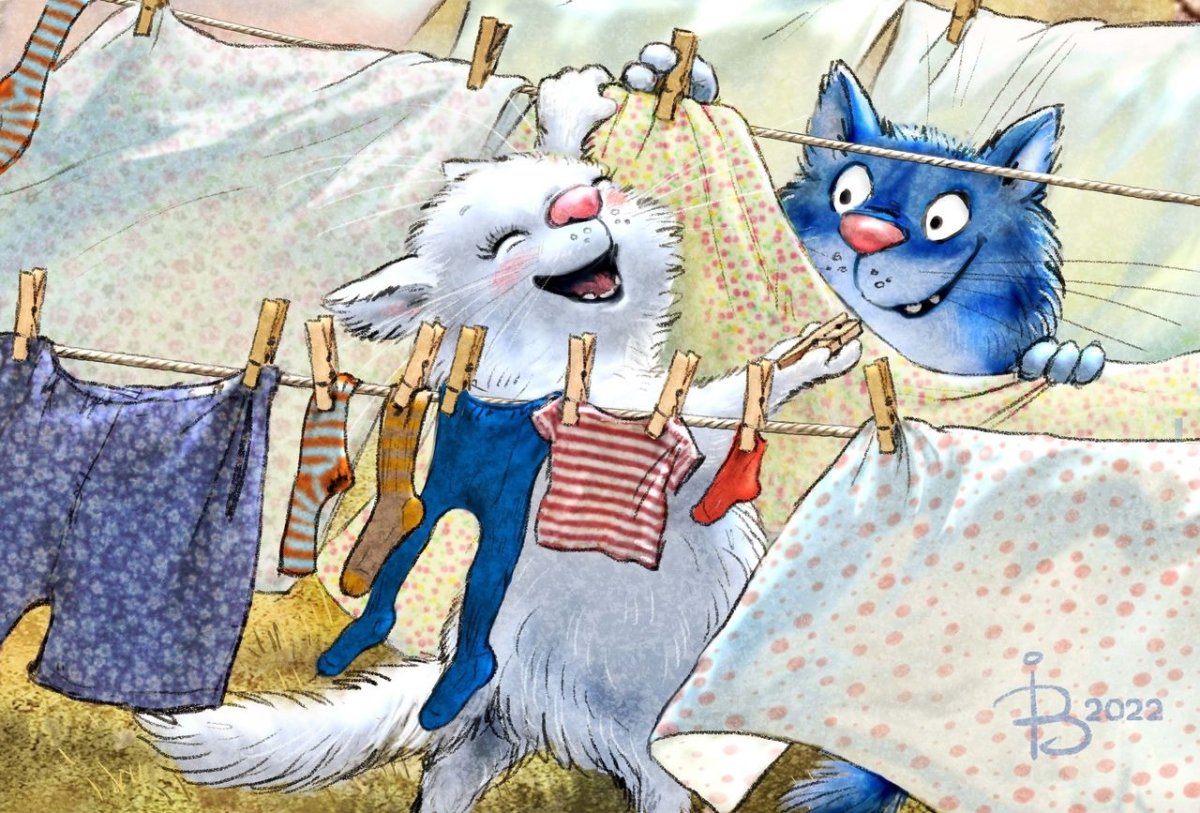 Синие коты зима