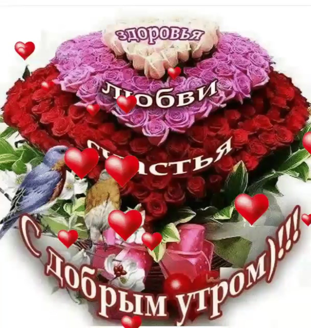 Дай Бог вам здоровья