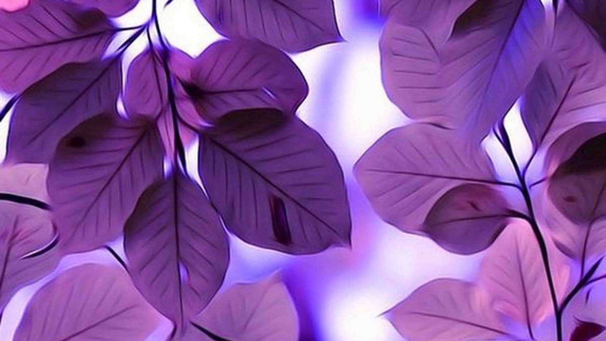 Эстетика фиолетового