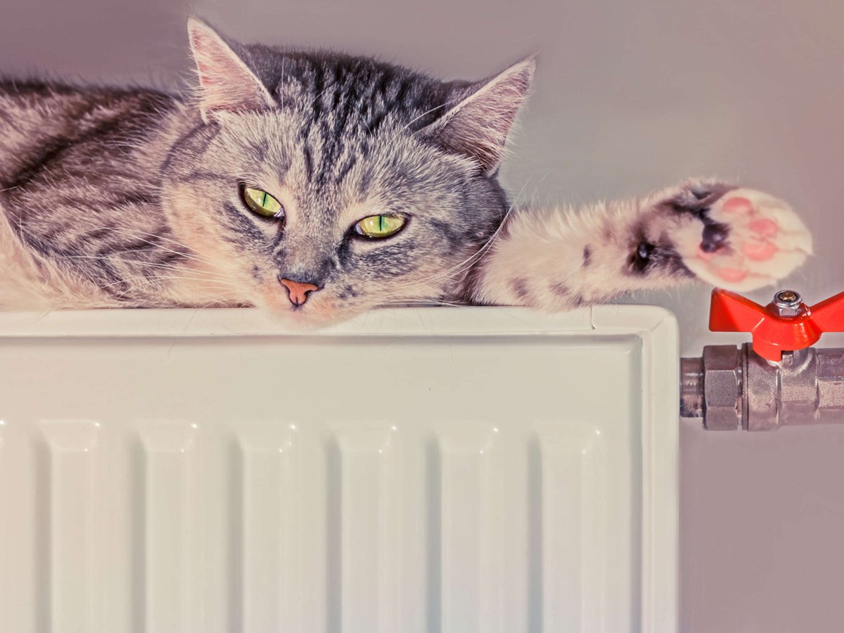 Батарея тепло