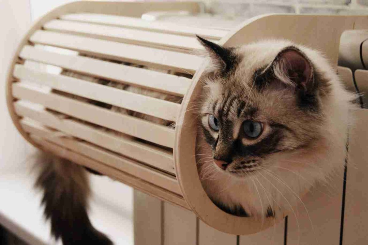 Батарея радиатор с котом