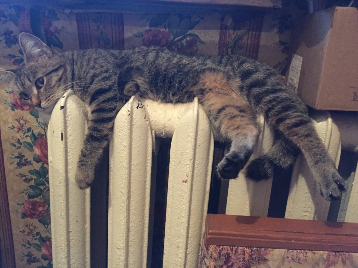 Отопление кот