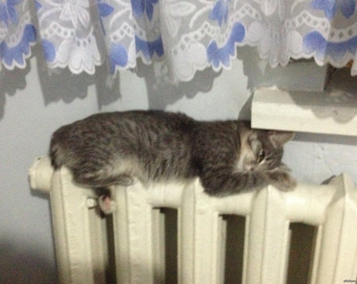 Лежанка для котика на батарею