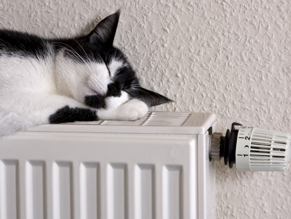 Когда же включат батареи картинки