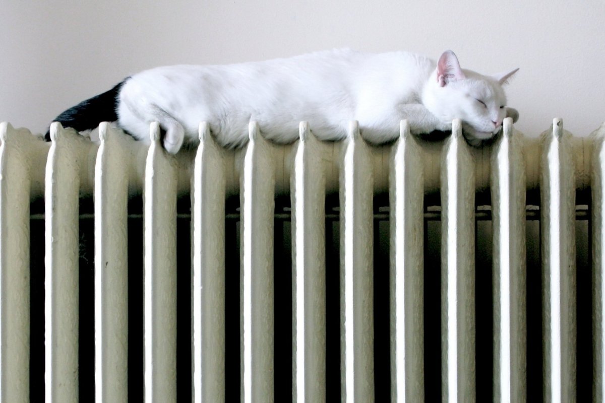 Кот и обогреватель