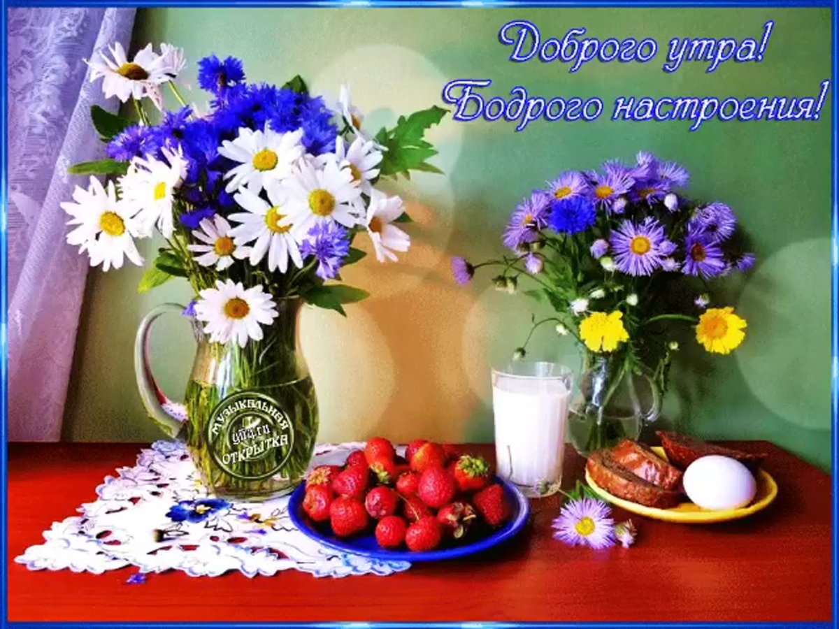 Доброе утро полевые цветы