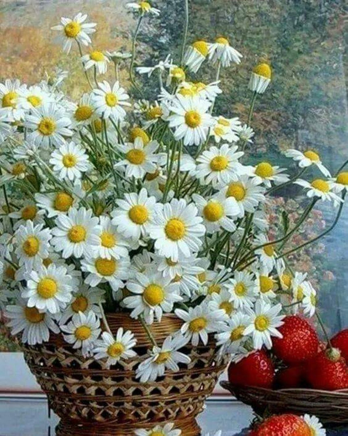 Красивый букет полевых ромашек