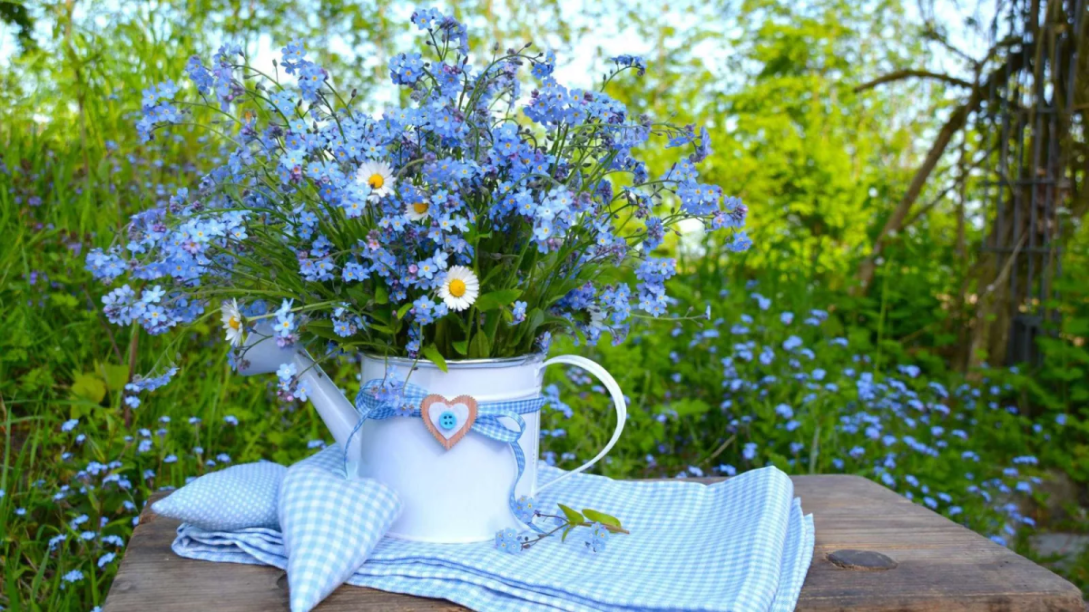 Летнее утро