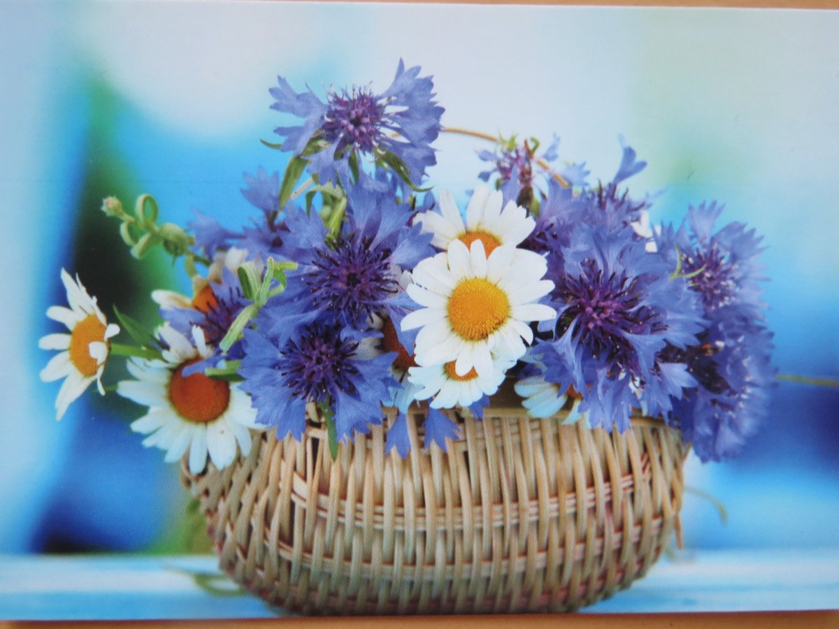 Корзина с васильками