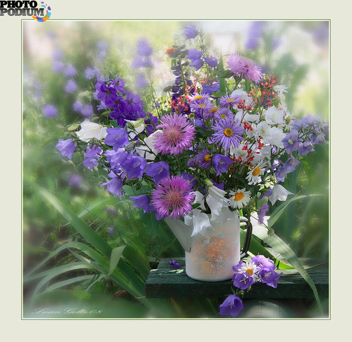 Луиза Гельтс ромашки