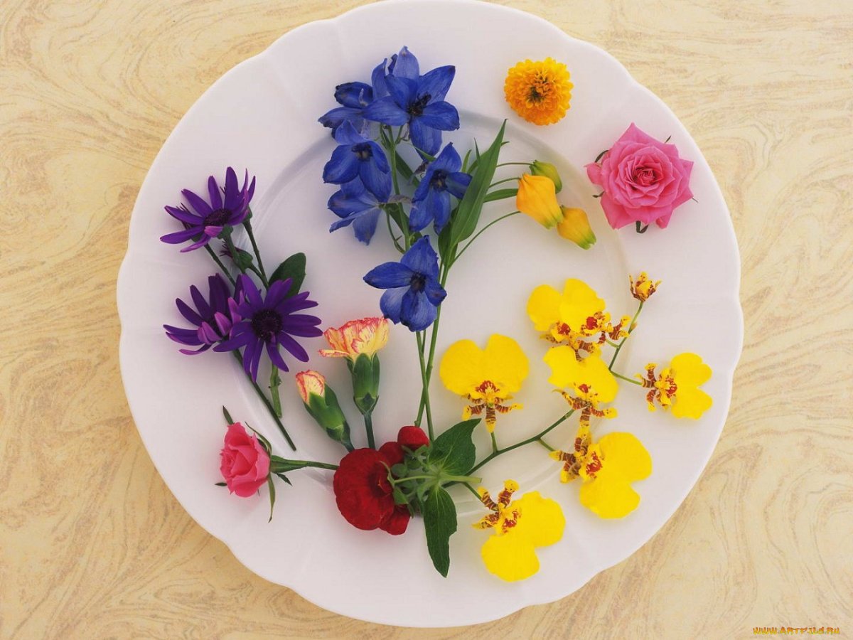 Открытки с добрым утром полевые цветы