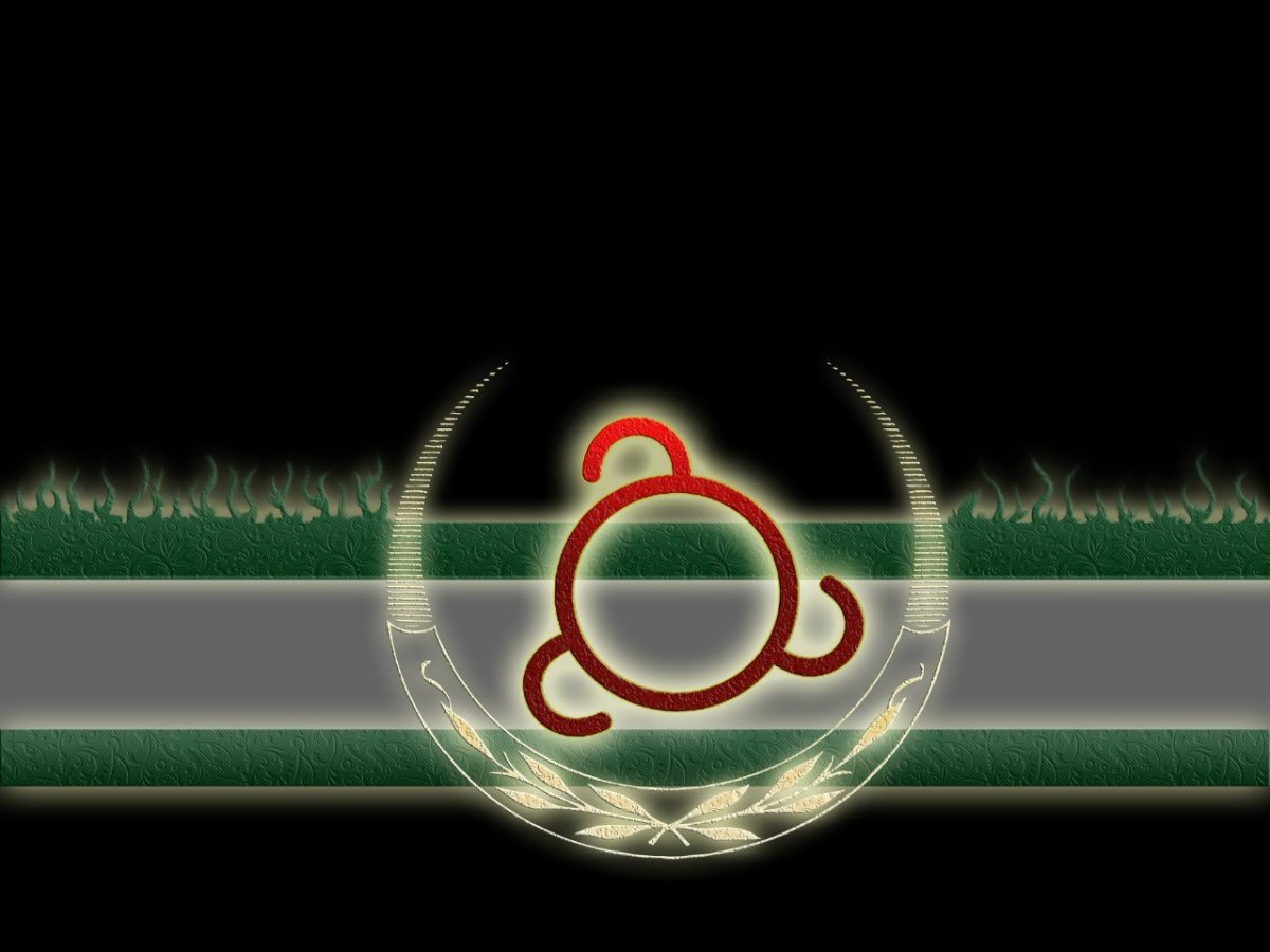 Флаг Ичкерии и Ингушетии