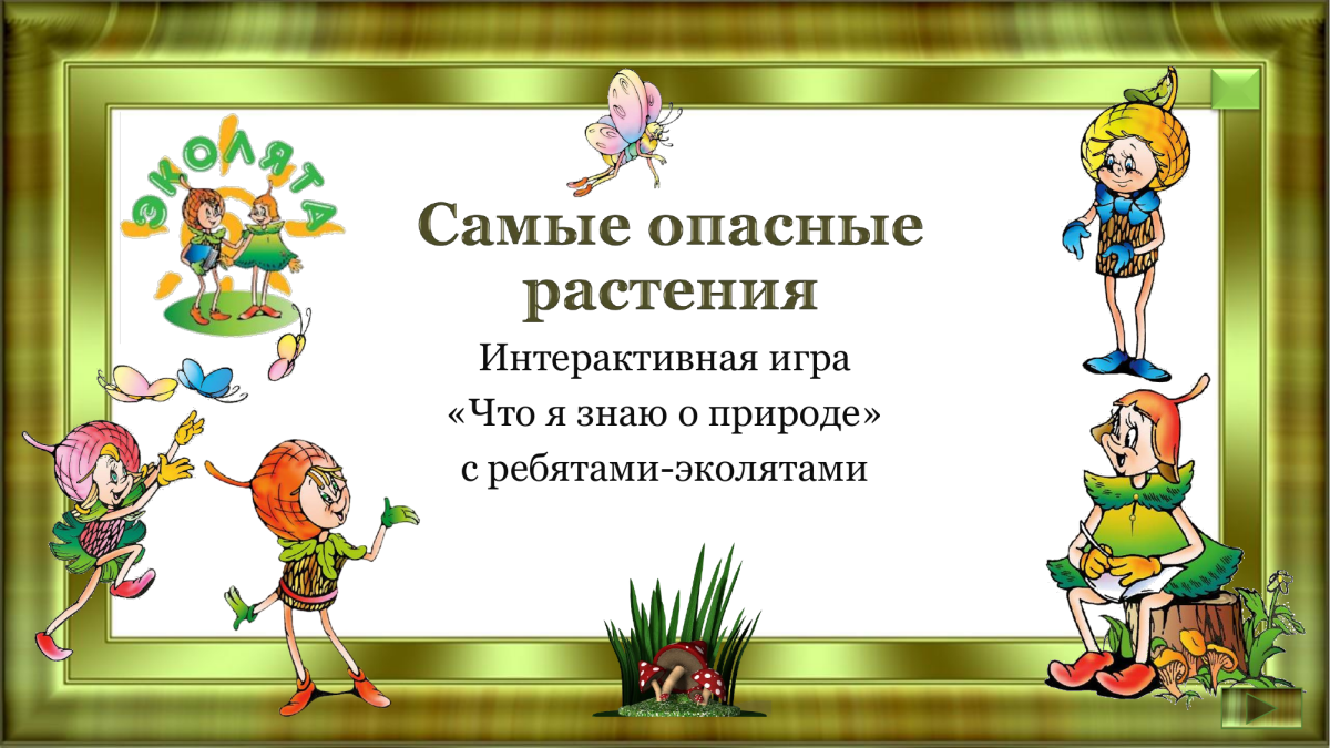 Эколята дошколята