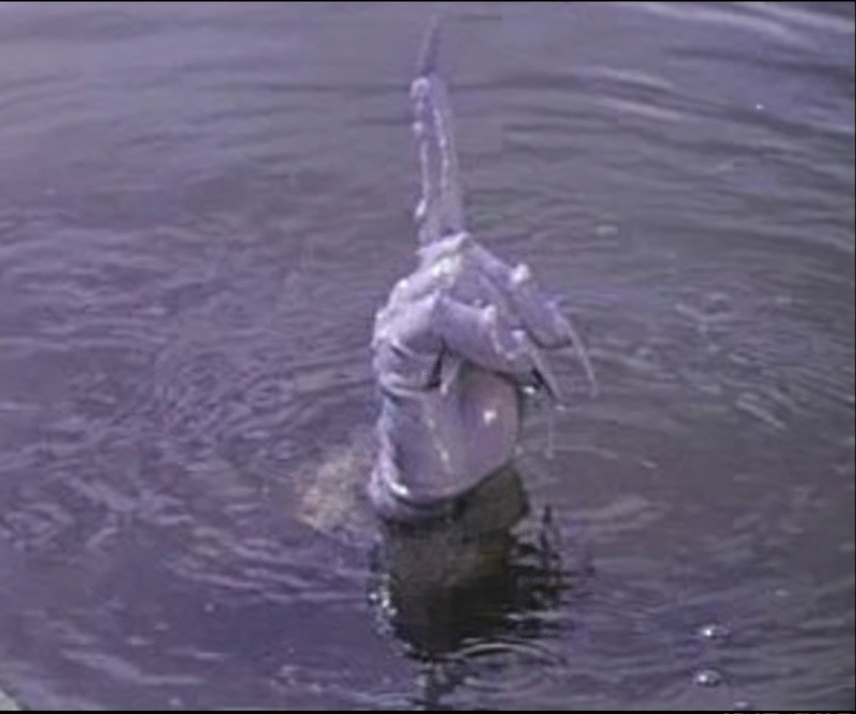 Чудо юдо должок