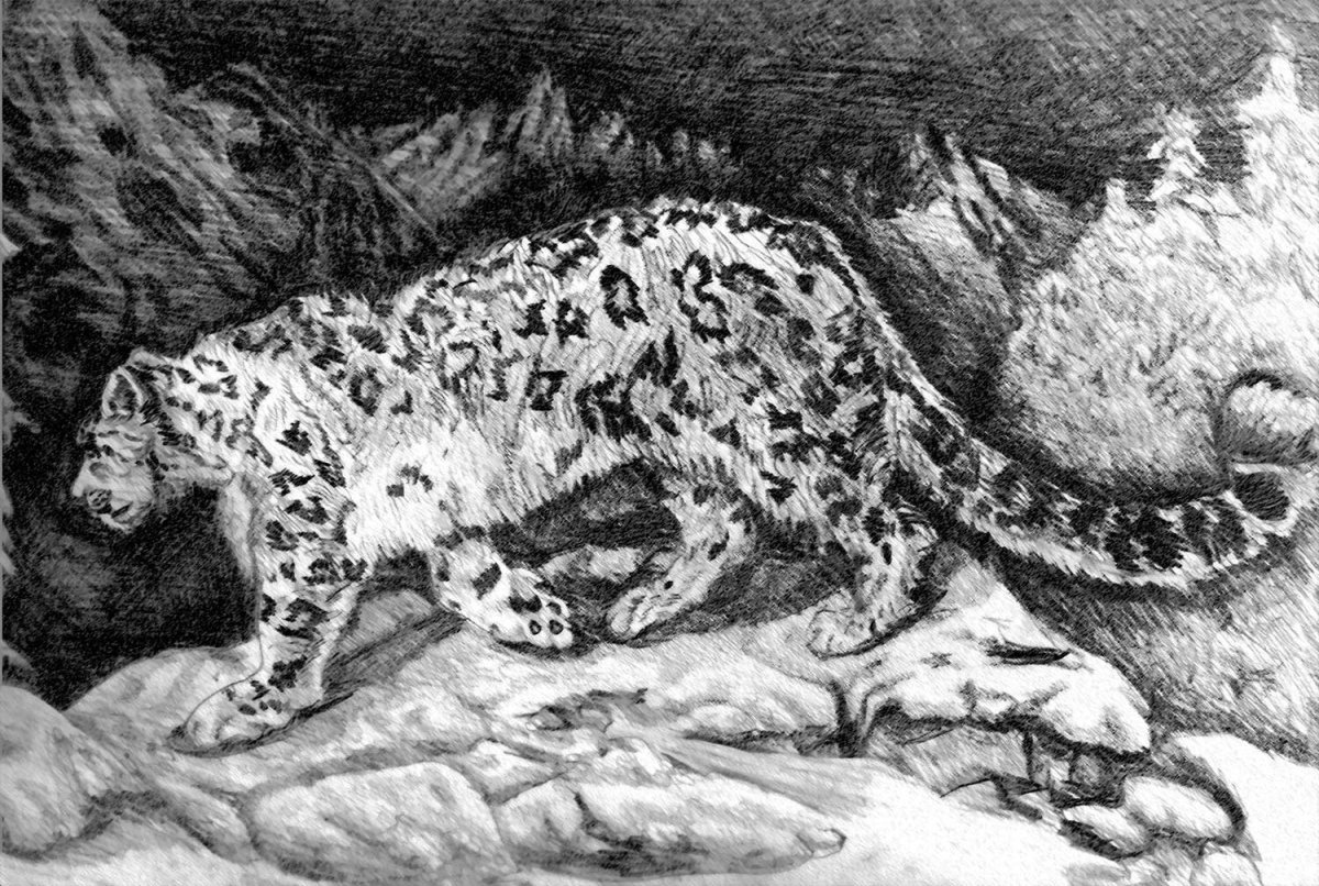 Иллюстрация к эпизоду Мцыри с Барсом