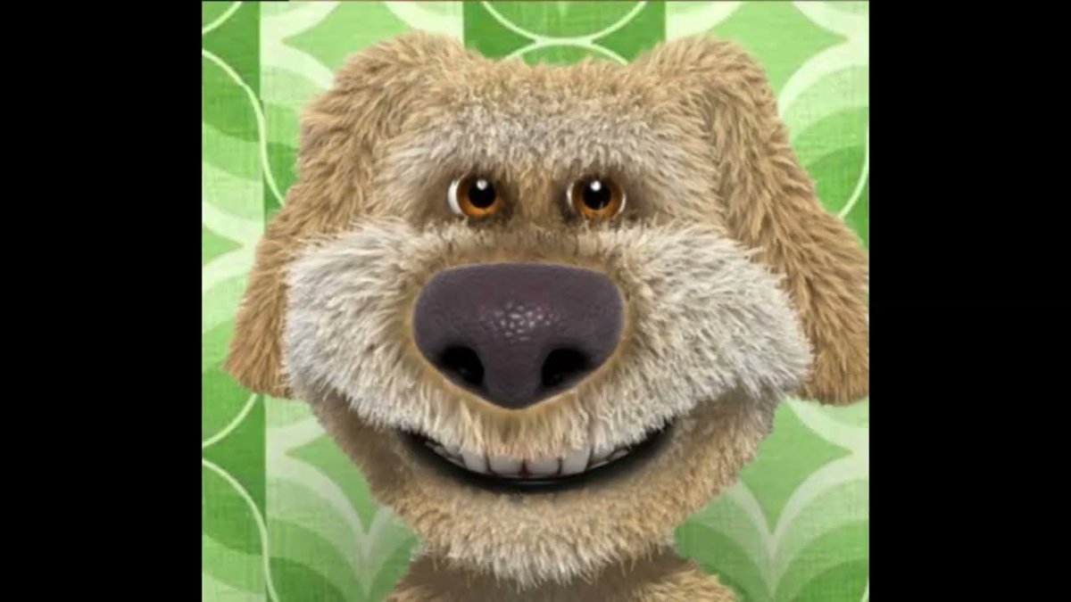 Говорящий Бен высокое качество