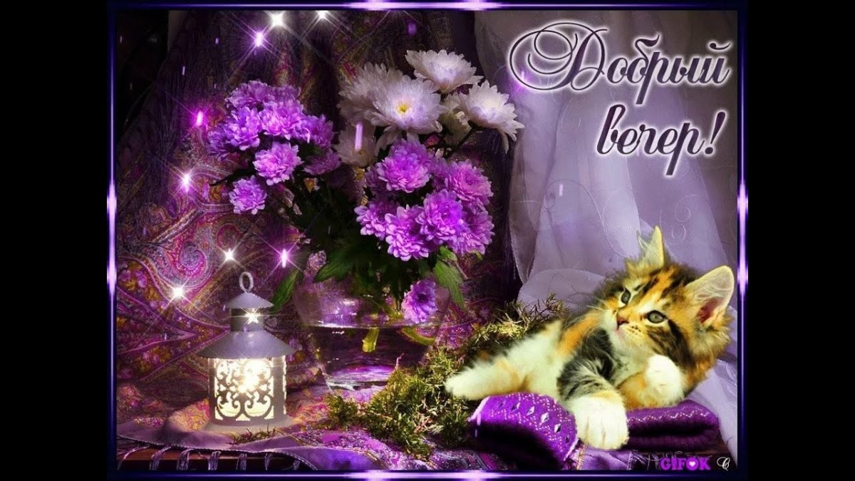 Добрый вечер