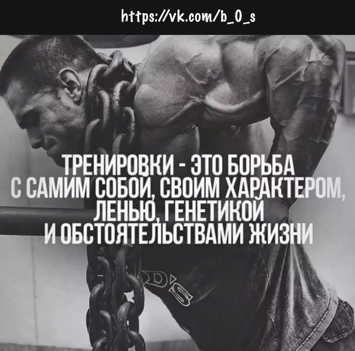 Спортивные цитаты
