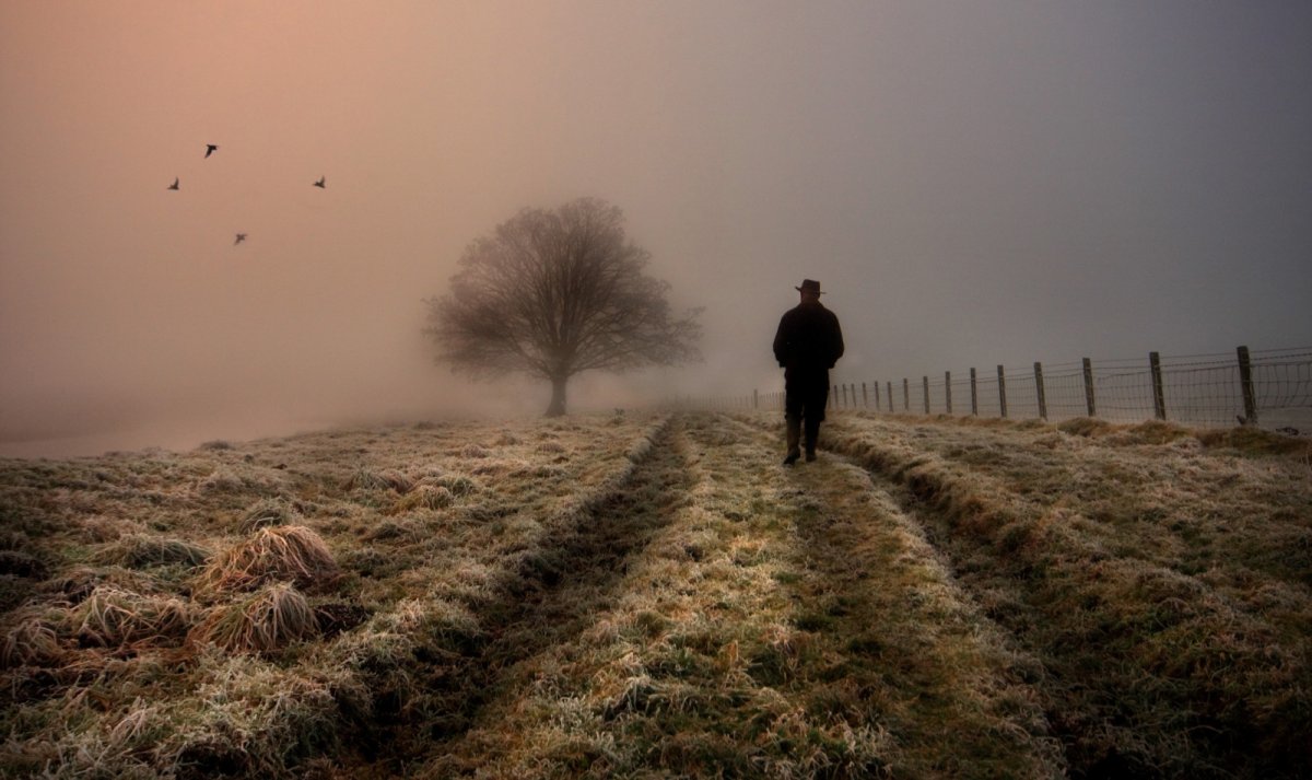 Человек уходящий в даль