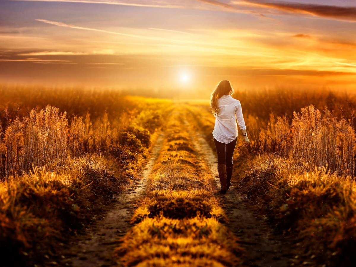 Уходит в закат