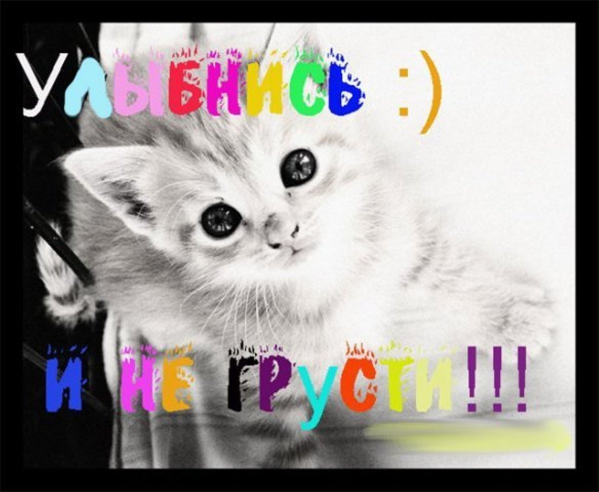 Милый котик с надписью не грусти